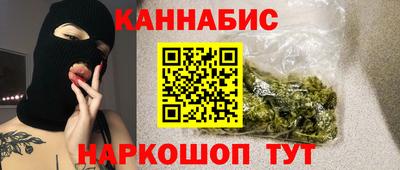сатива Бузулук