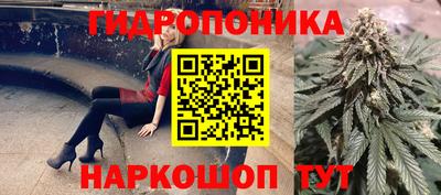 стаф Бугуруслан