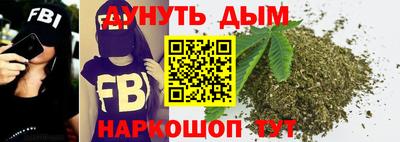 сатива Бузулук
