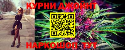 сатива Бузулук